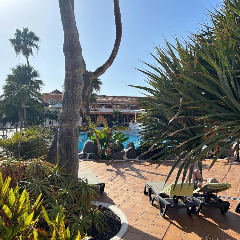 Wonderful stay in Tenerife Royal Gardens Resort! - Apartamento de 1 dormitorio - 20