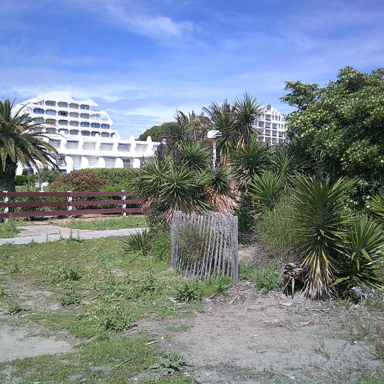 Vittoria immobilier-PACIFIC PLAGE - Chèques Vacances acceptés. - Appartement 2 Chambres avec Terrasse - 8
