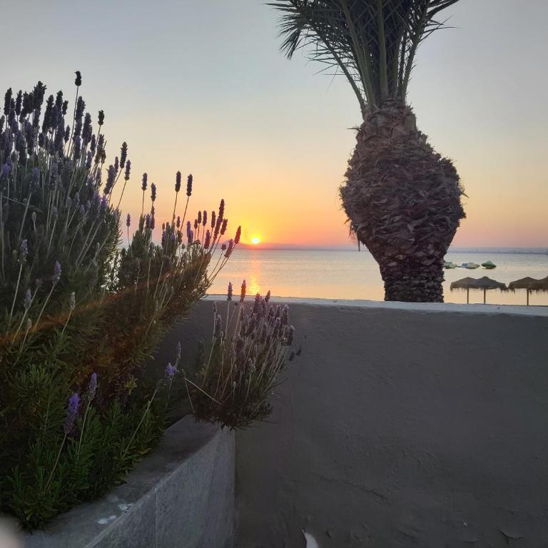 Boutique Beach House, Colina del Emperador - Suite Superior con vistas al mar - 8