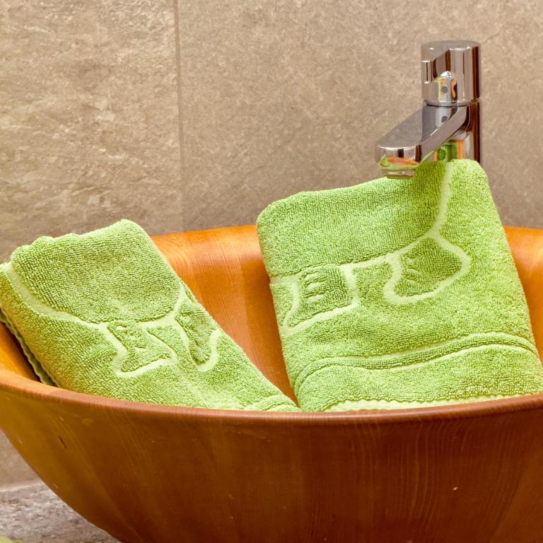 Natur- & Wanderhotel Tuxertal - Bergsuite - 1