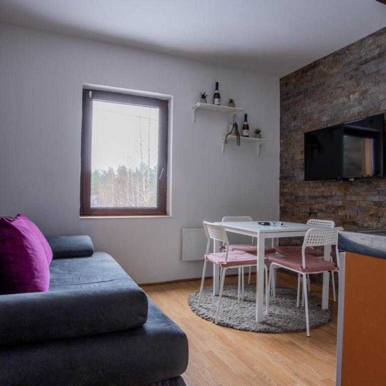 Šumska kuća Divčibare - Apartman sa 1 Spavaćom Sobom - 3