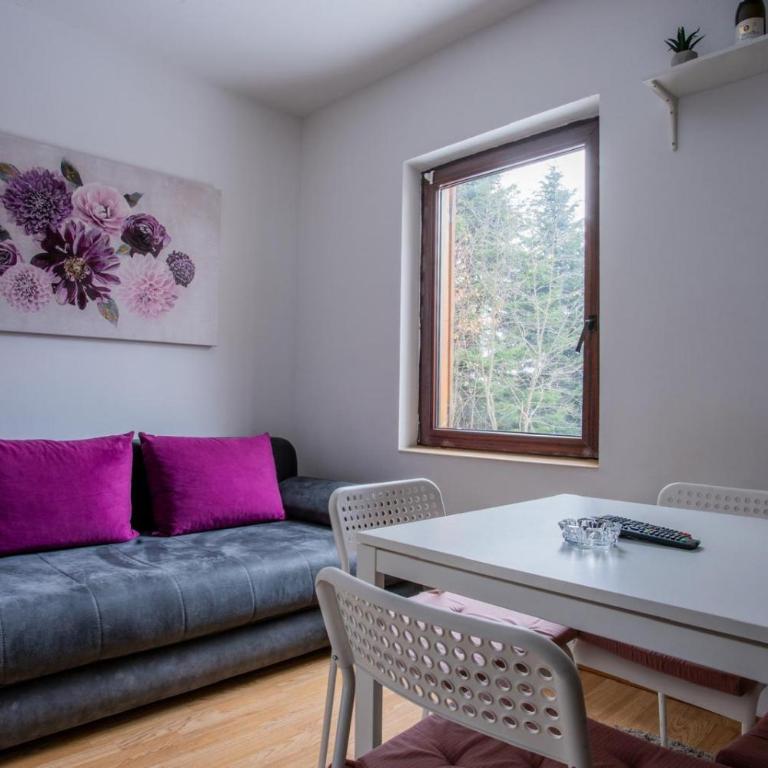 Šumska kuća Divčibare - Apartman sa 1 Spavaćom Sobom - 9
