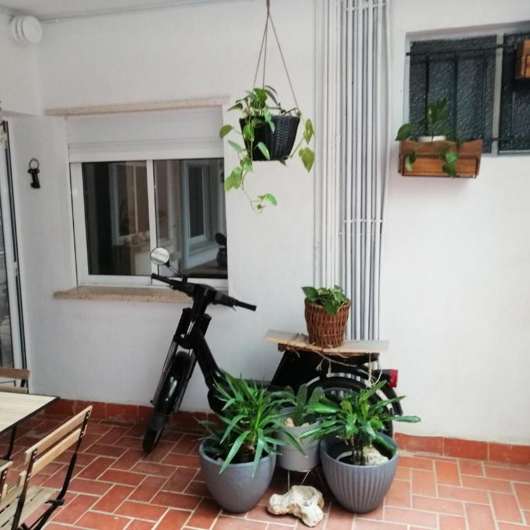 Bonito piso en Dénia - Apartamento de 3 dormitorios - 19