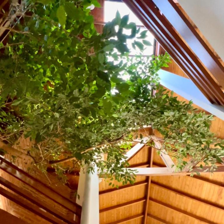 Casa contemporánea Mar del Plata - Casa de 3 dormitorios - 15