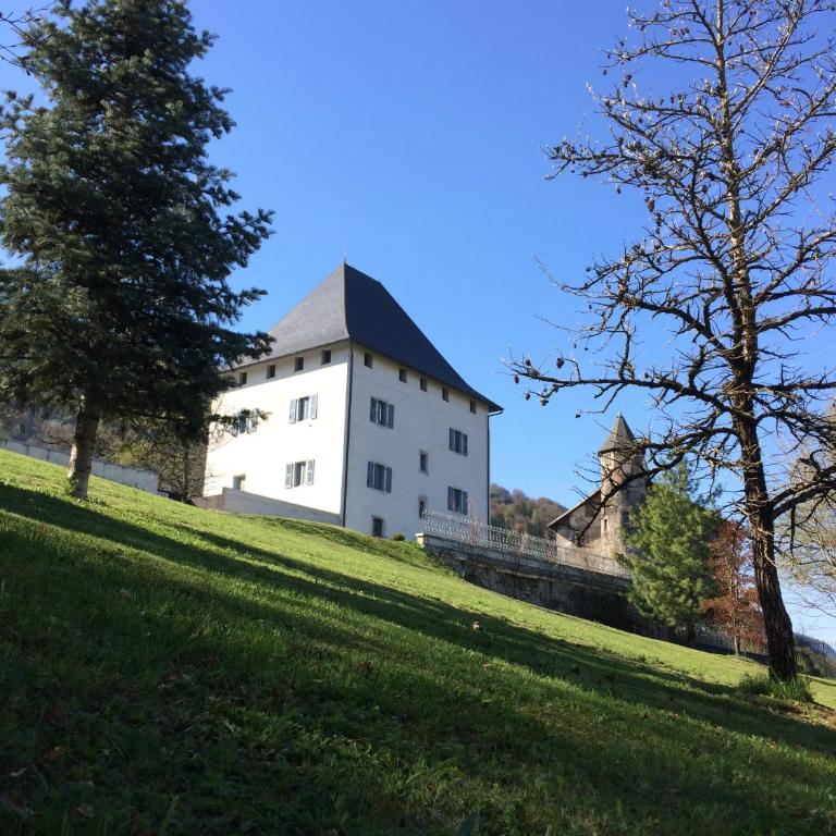 Un château face au Mont-Blanc - Villa con Piscina Privata - 5