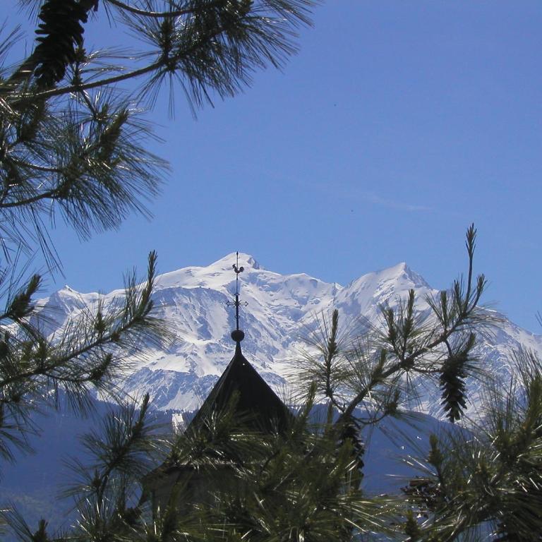 Un château face au Mont-Blanc - Villa con Piscina Privata - 23