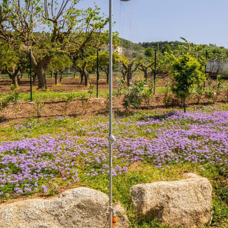 Alle Preziose Dimore - Villa con 2 Camere da Letto - 26