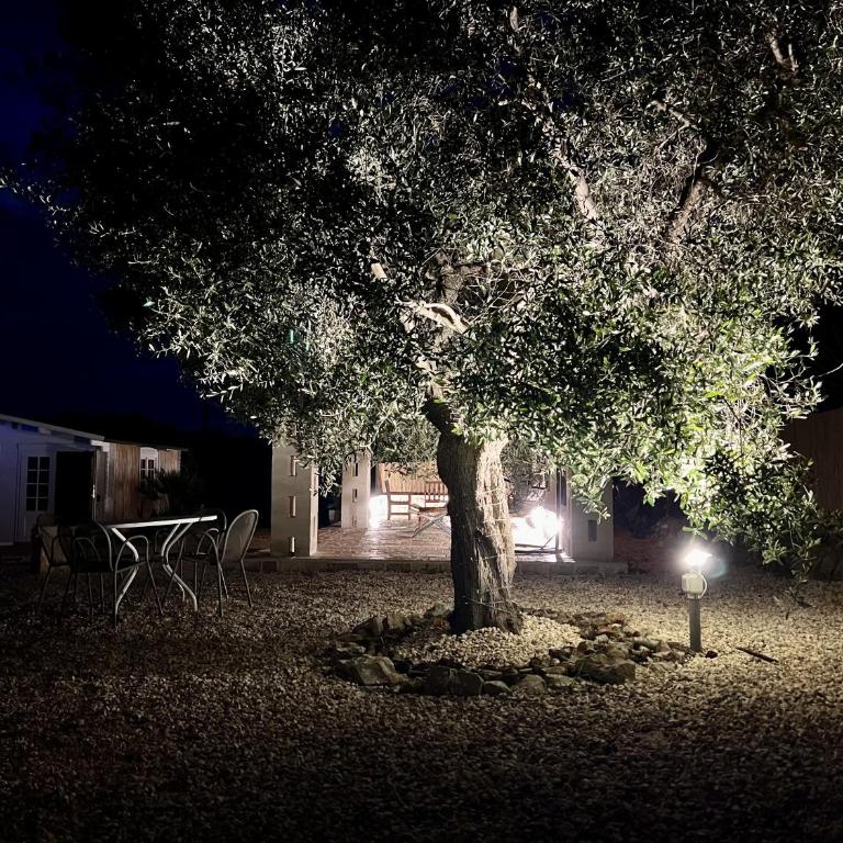 Villa 32 Ostuni - Charming House with Pool - Villa with Private Pool - 99
