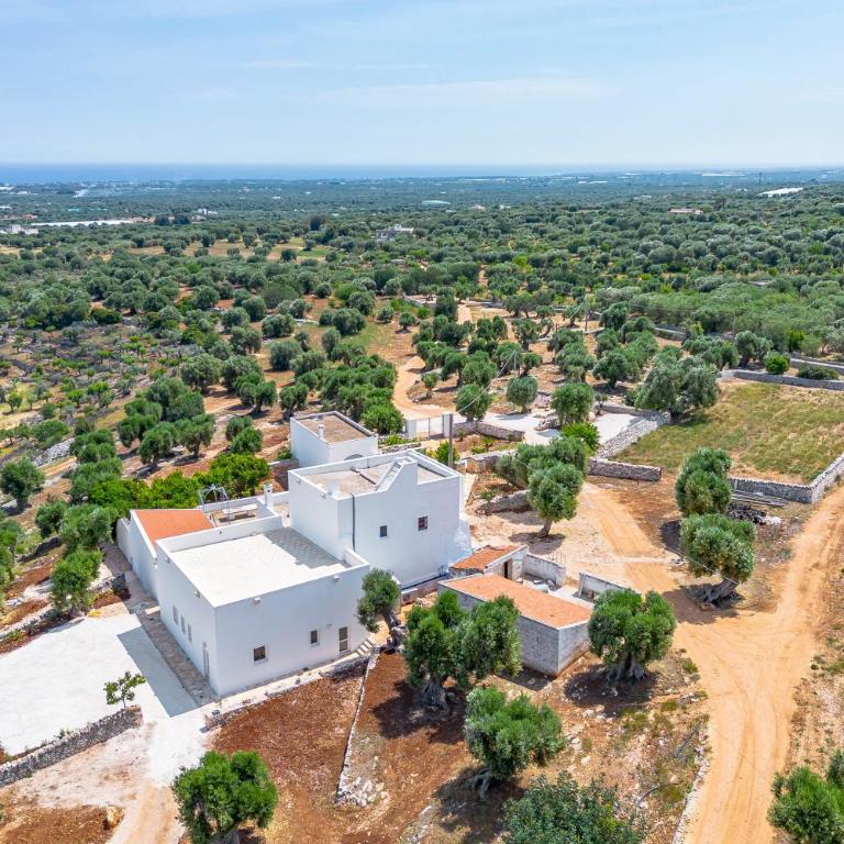 Naturelais Masseria Pittore Monopoli - Camera Matrimoniale Standard - 7