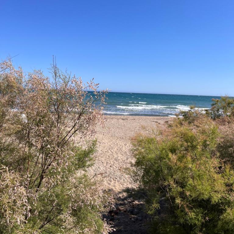 Studio on the Beach Front - Apartamento de 1 dormitorio - 52