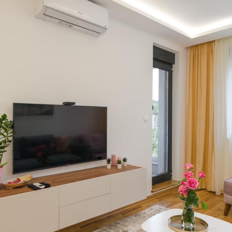 Apartmani Central 14 & Free parking garage - Apartman sa 1 Spavaćom Sobom - 7