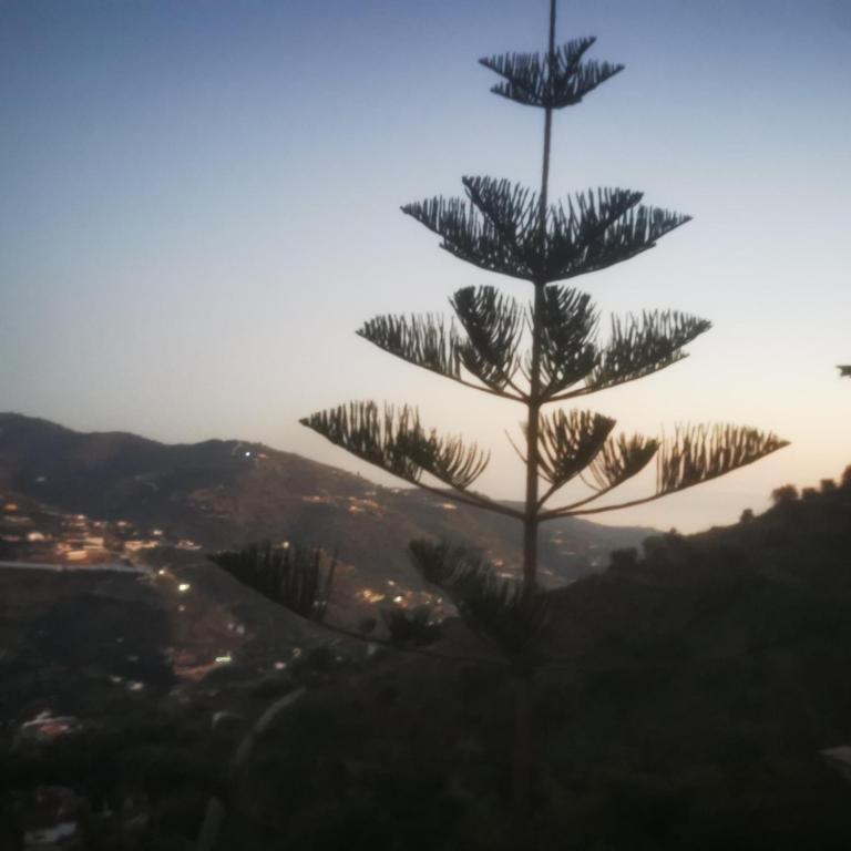 CASA LUXURY MADERA EN LAS MONTAÑAS DE TORROx - Chalet de 1 dormitorio - 25