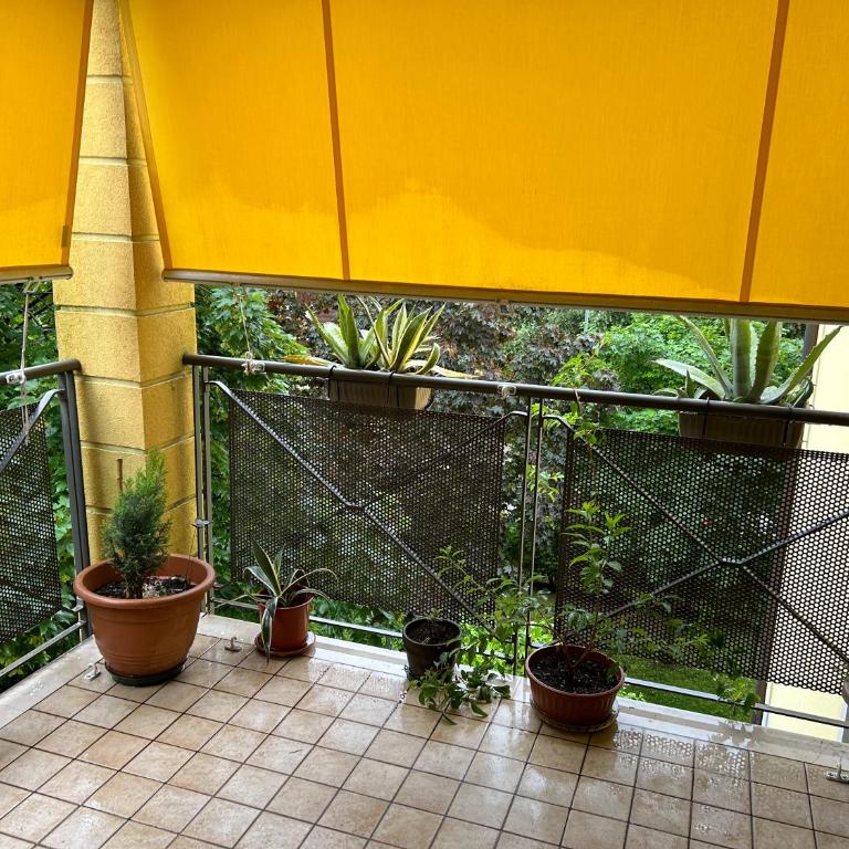 Residence Tevere - Appartamento con Vista Giardino - 21
