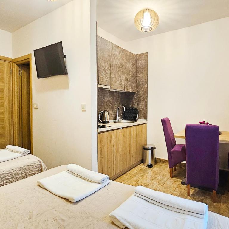 Basileus Apartments Budva - Deluks Studio - 8