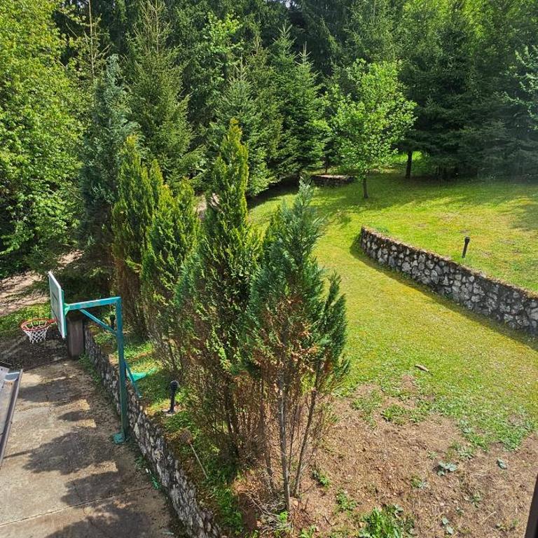 Vila Jagoda - Villa - 7