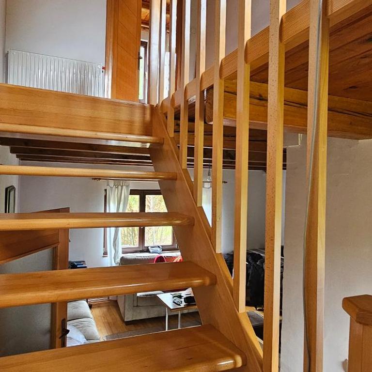 Vila Jagoda - Villa - 19