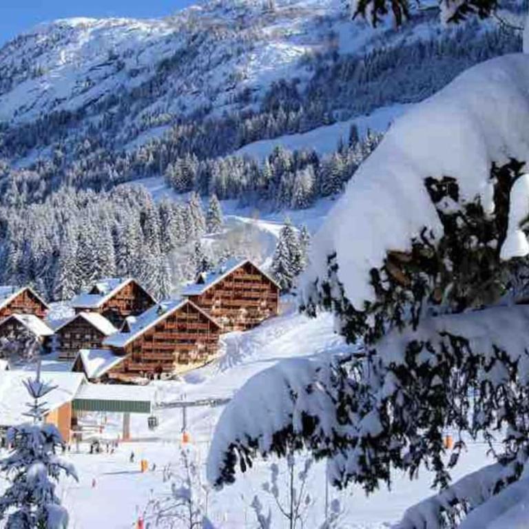 Oz en oisan APPART 6-8 PERS CHALET DES NEIGES Piscine -Sauna - Appartement 3 Chambres - 16