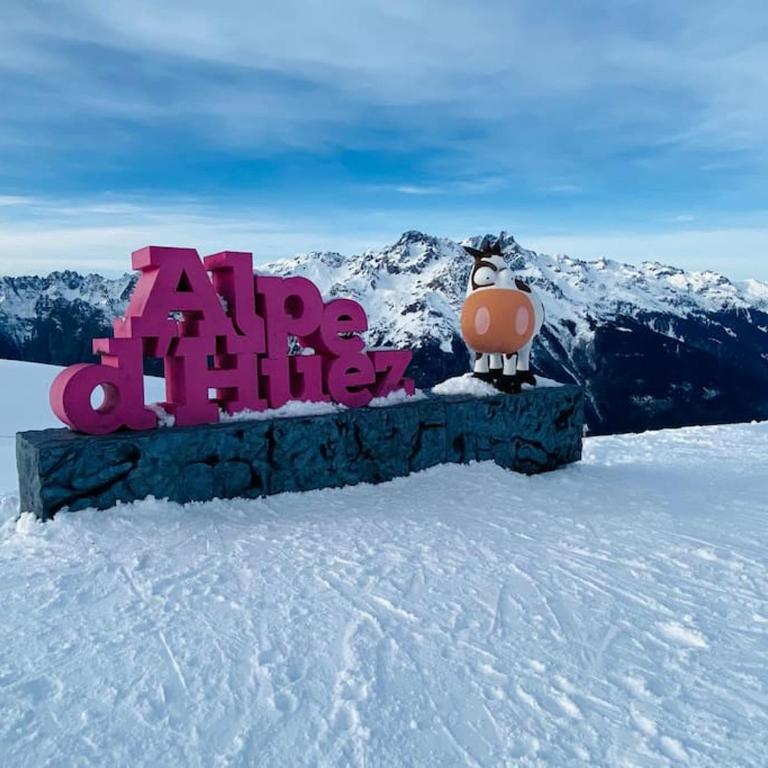 Oz en oisan APPART 6-8 PERS CHALET DES NEIGES Piscine -Sauna - Appartement 3 Chambres - 22