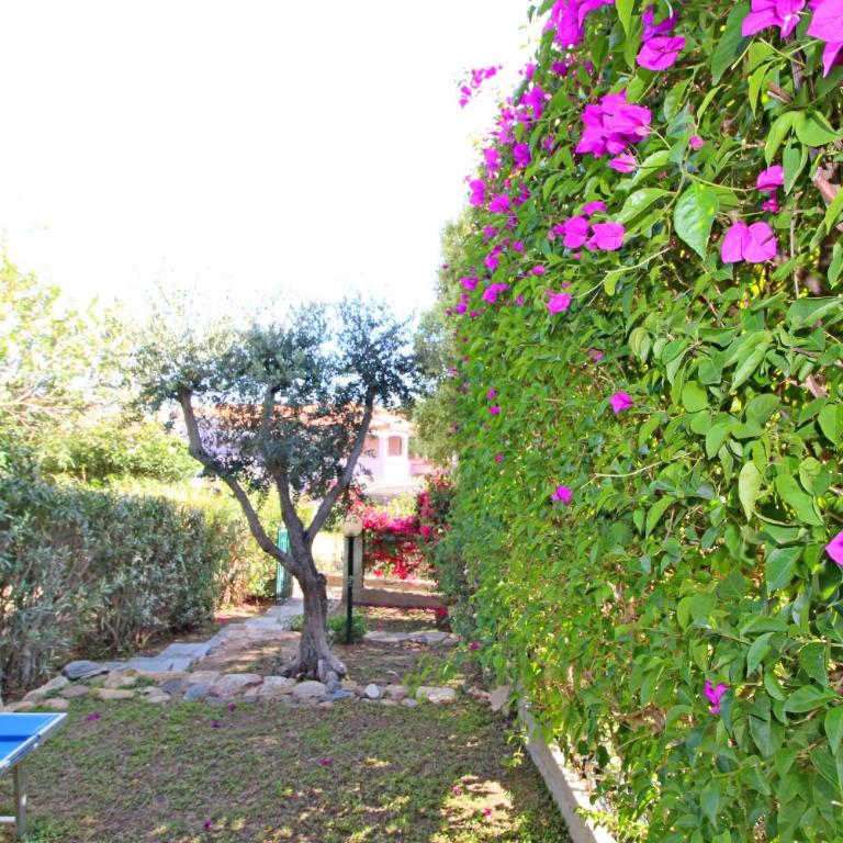 Bilo Blu Holiday a 80 metri dal mare - Casa con 1 Camera da Letto - 4