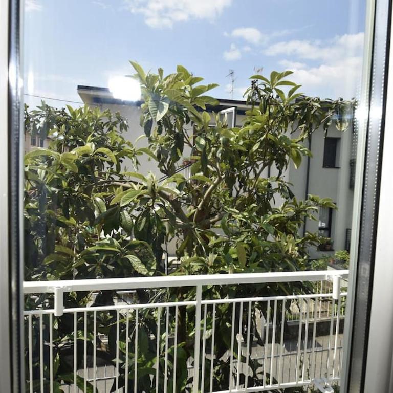 Anzio 9 Guest House - Casa con 2 Camere da Letto - 12