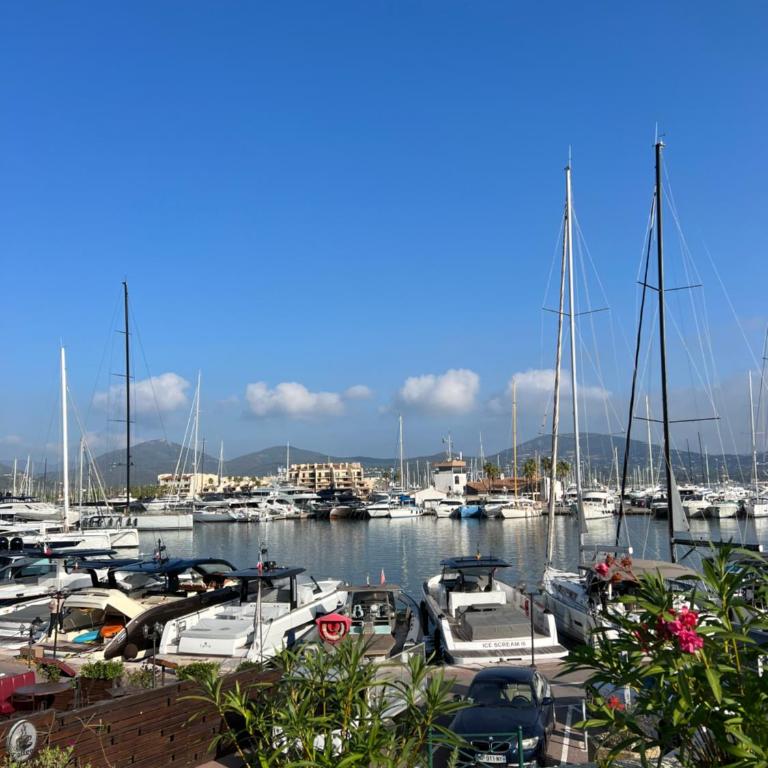 Belle vue Golfe de St Tropez Marines de Cogolin La Galiote - Apartment mit 2 Schlafzimmern mit Hafenblick - 1
