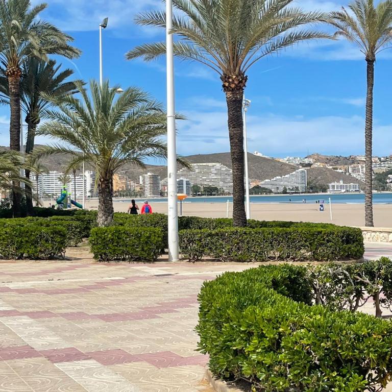 Cataleya Apartment - Three-Bedroom Premium Apartment with Balcony - 21