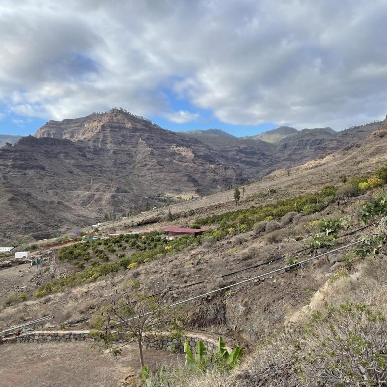 Finca Los Dioses III - Two-Bedroom House - 41