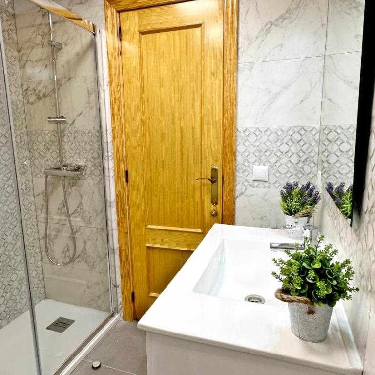 ROMA 7 - Alquiler solo Familias - Apartamento - 51