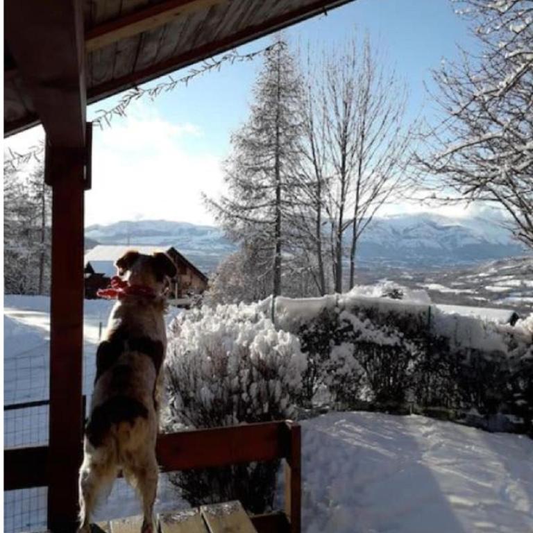 Chalet jolie vue montagne Air vivifiant - Chalet 3 Chambres - 2