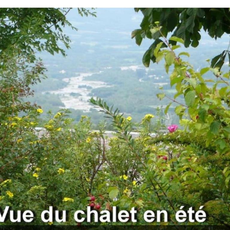 Chalet jolie vue montagne Air vivifiant - Chalet 3 Chambres - 5