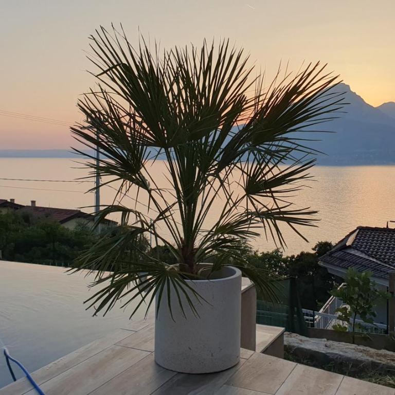 Villa Holzi - Deluxe Two-Bedroom Apartment Top Floor with King Bed, Pool, Balcony and Lake View - 32