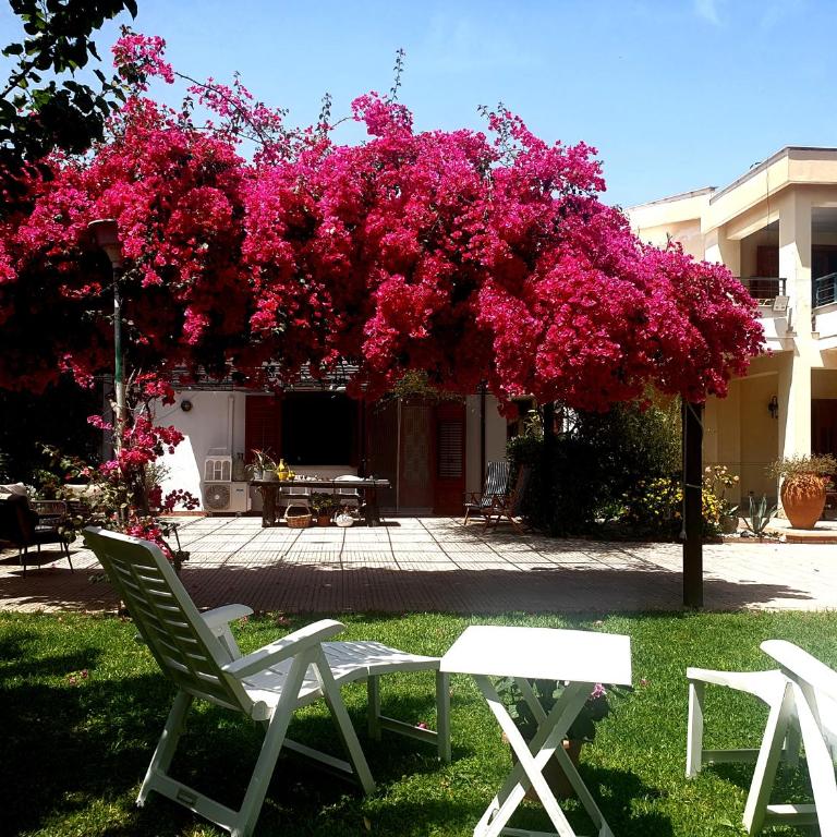 La depandance di Villa Rosa locazioni brevi - Casa - 1