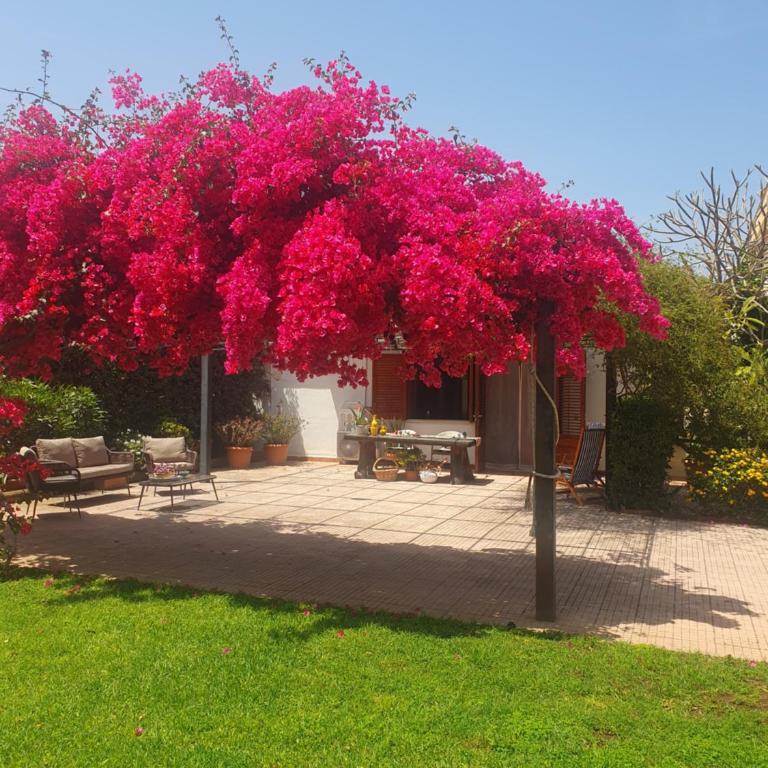 La depandance di Villa Rosa locazioni brevi - Casa - 27