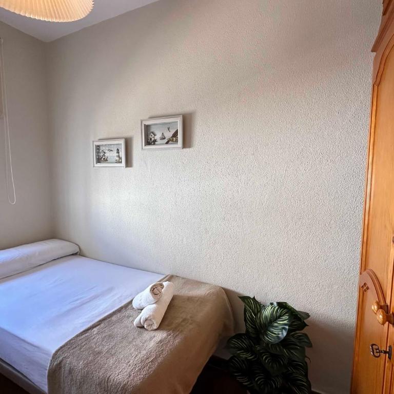 Dúplex Playa Sol Ostra - Apartamento Estándar de 3 dormitorios - 73
