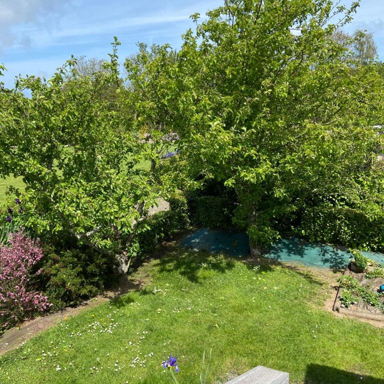 Studio 2 personnes Nid Cocooning Calme grand confort - Two-Bedroom Apartment - 12