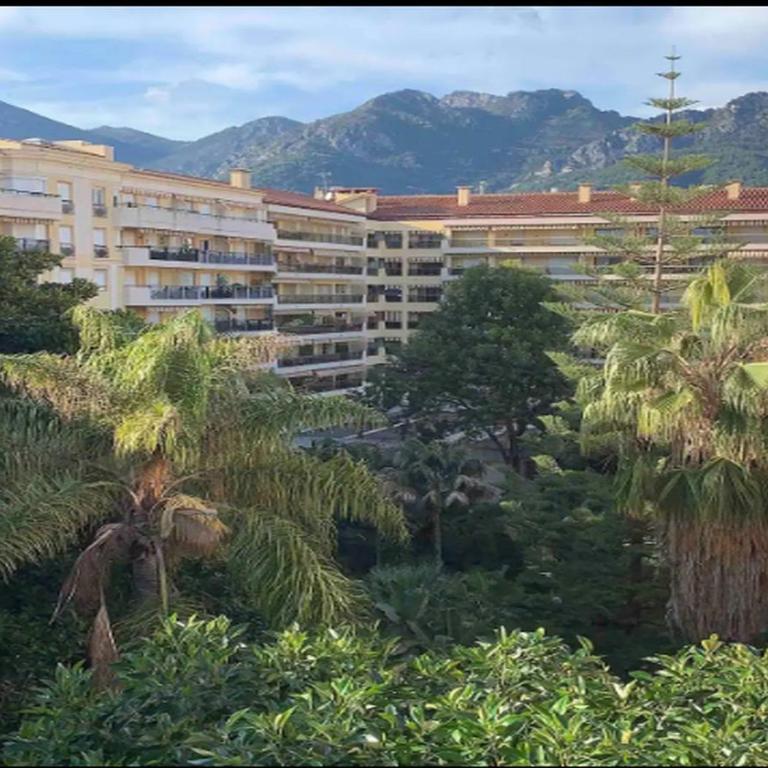 Beach apartment with tropical garden and mountain view Best location - One-Bedroom Apartment - 2