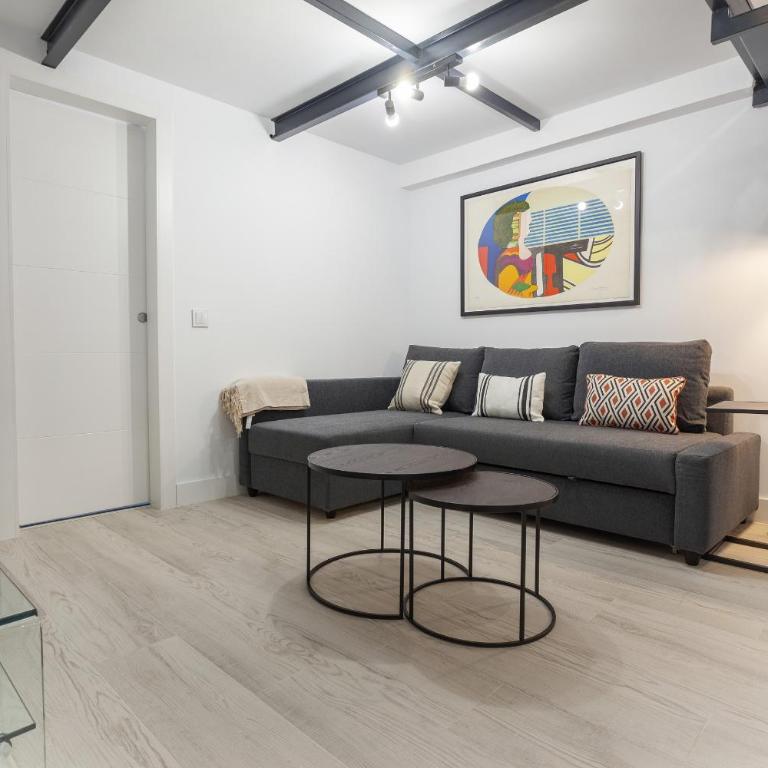 Apartamento Bernabeu Loft en Madrid - Estudio con sofá cama - 2