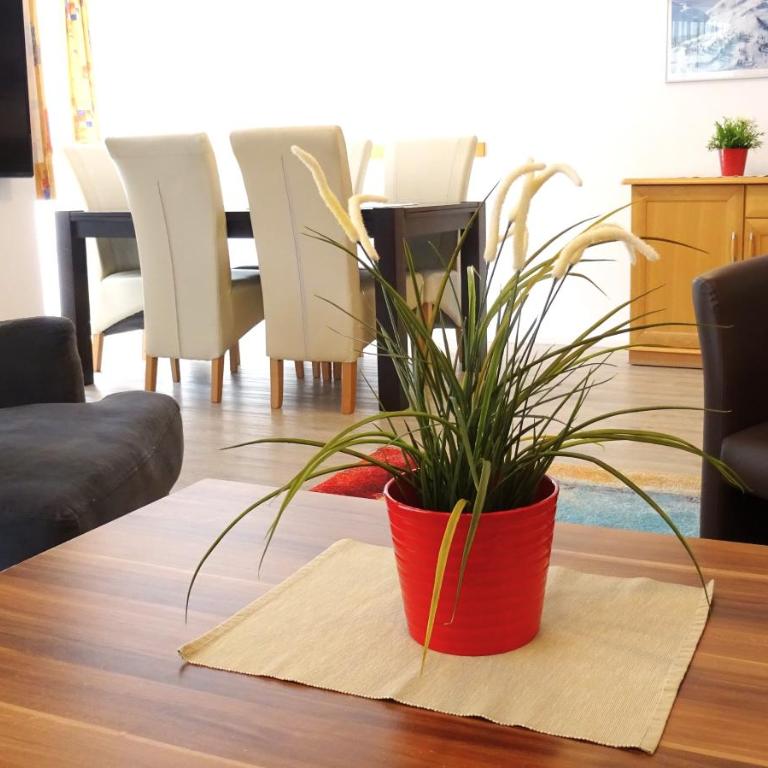 Appartements am Kirchplatz - Apartment mit 1 Schlafzimmer - 2