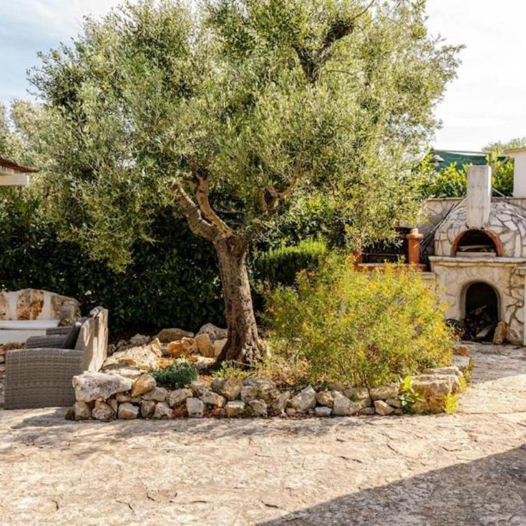 Trullo Vittoria Ostuni with private swimming pool - Two-Bedroom Villa - 24
