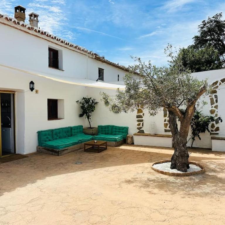 Oceana view private pool & sauna & Netflix room - Casa de 6 dormitorios - 2