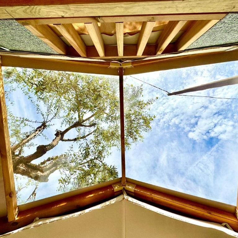 Monja Camping Village - Tenda Comfort - 9