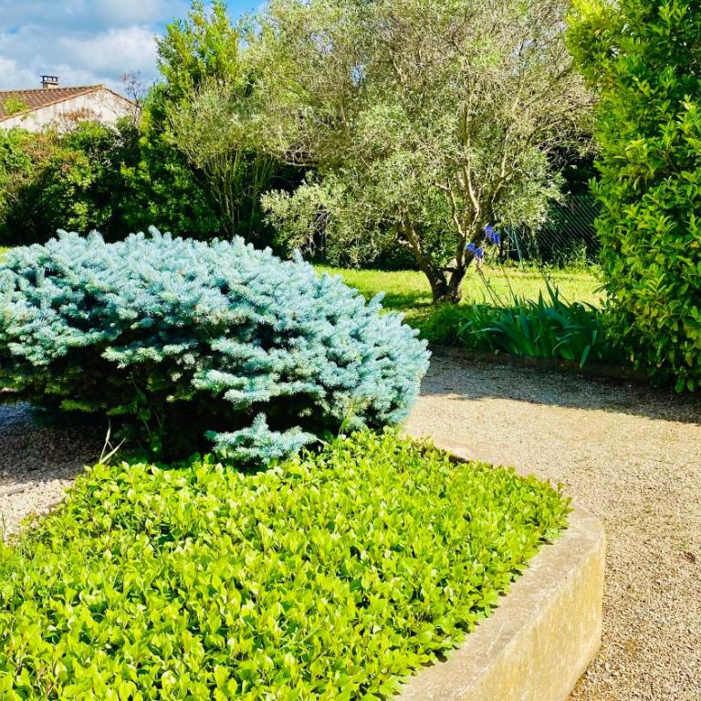 "Villa Magali Arles" Piscine Provence - Casa con 4 camere da letto - 31