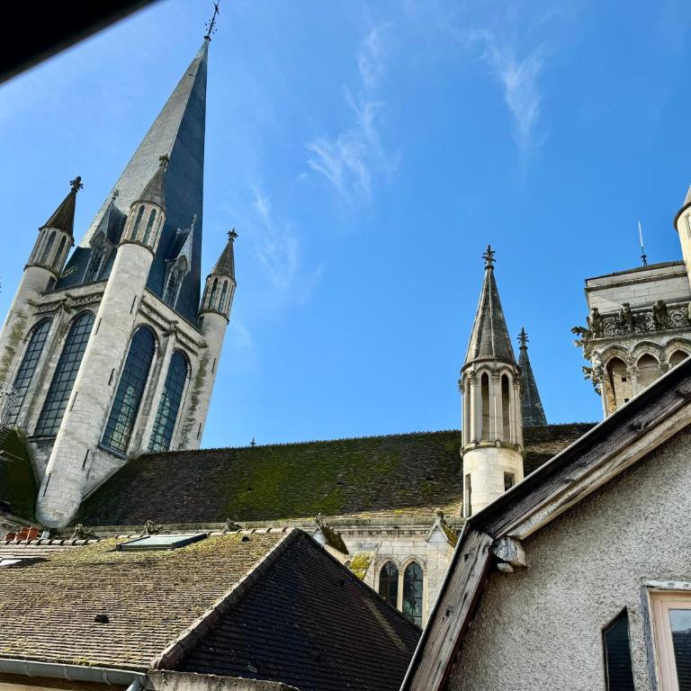 Le Relais des Ducs : centre historique Dijon - Appartement - 27