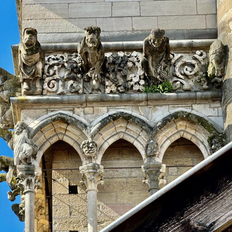 Le Relais des Ducs : centre historique Dijon - Appartement - 28