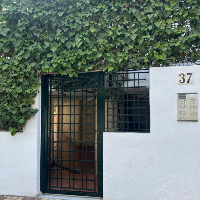 Contemporaneo y tranquilo en Montemar - Apartamento de 2 dormitorios - 17