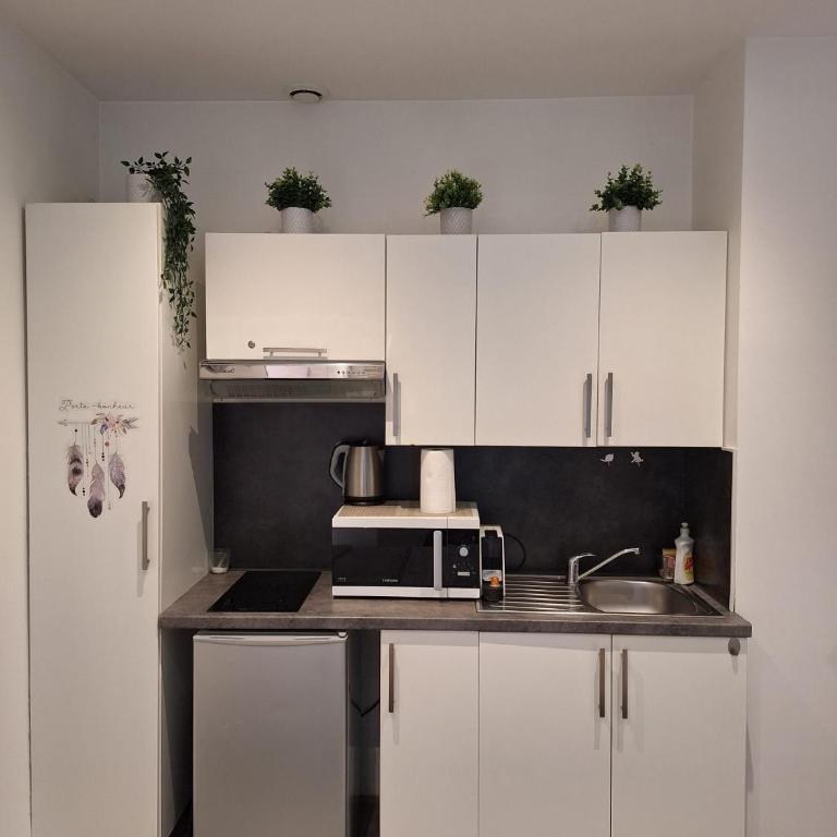 Beautiful apartment with terrace Centre Nice - Appartement 1 Chambre - 2