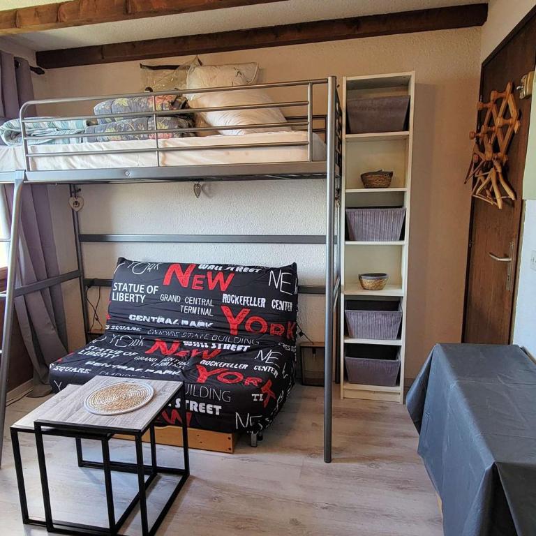 **Studio Montagne 2/3 pers - Pied des pistes, centre station** - FR-1-393-43 - Studio - 4