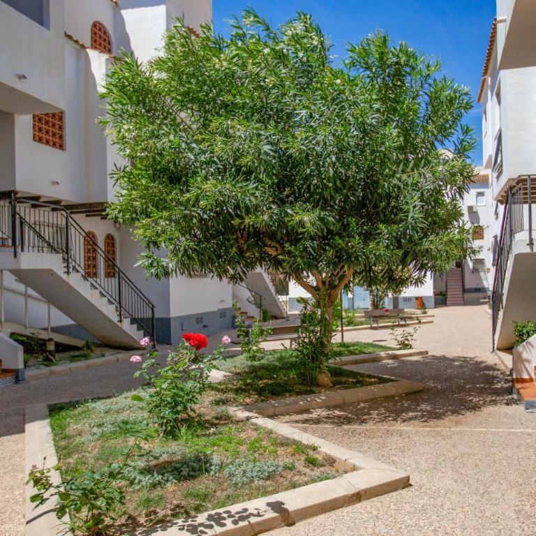 Gorgeous Apartment In Torrevieja - Apartamento de 1 dormitorio - 10