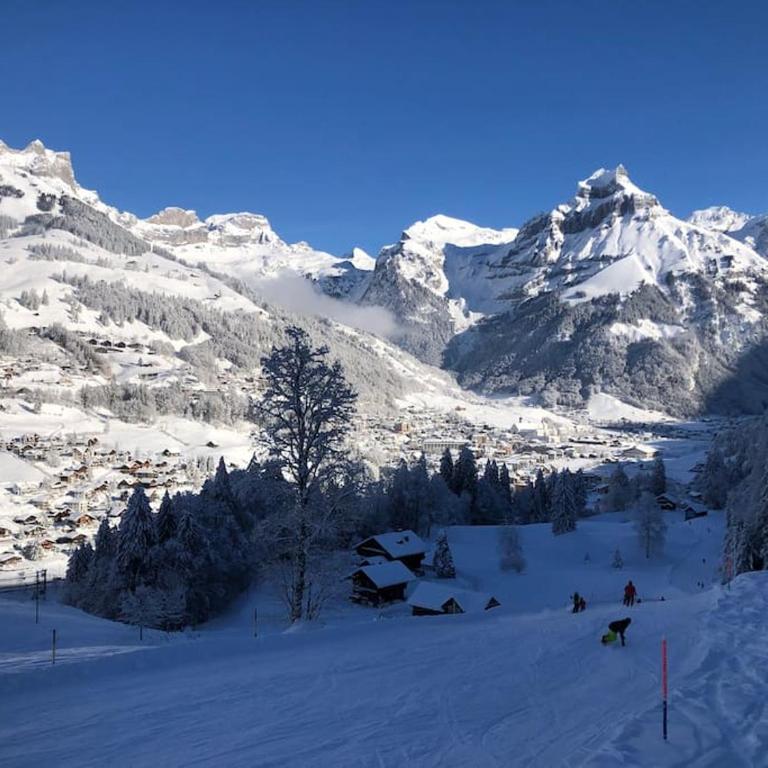Titlis Lodge Engelberg - Apartamento de 1 dormitorio - 30