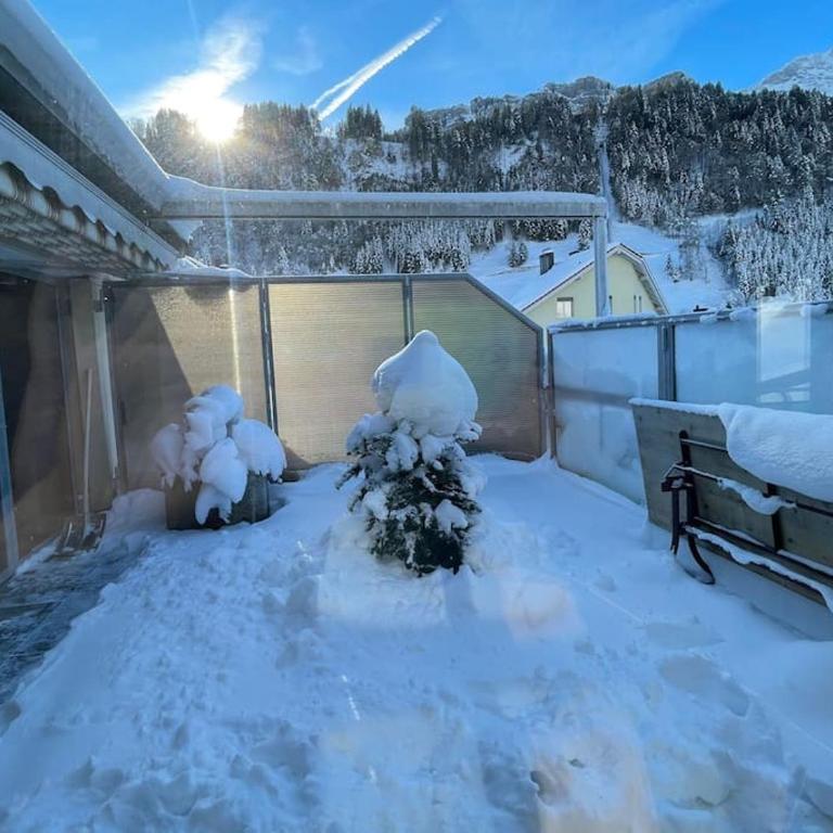 Titlis Lodge Engelberg - Apartamento de 1 dormitorio - 44